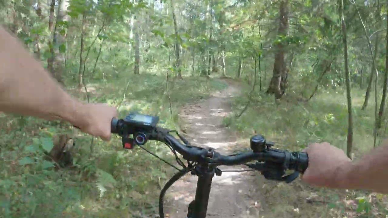 19.08.2022_9 смотреть онлайн