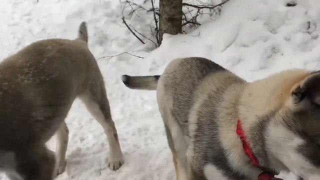 Scandinavia Adventure - Kemi, Finland смотреть онлайн