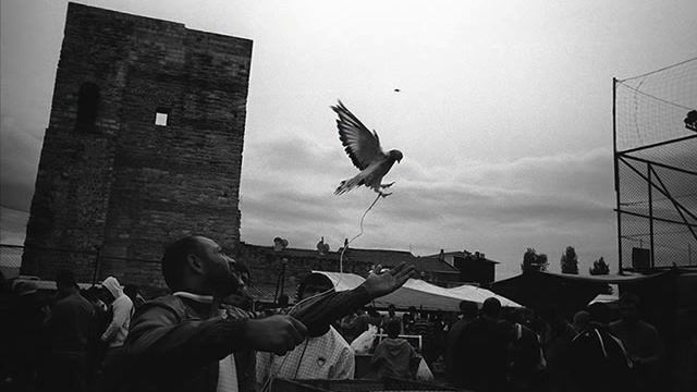 Тум-балалайка.wmv смотреть онлайн