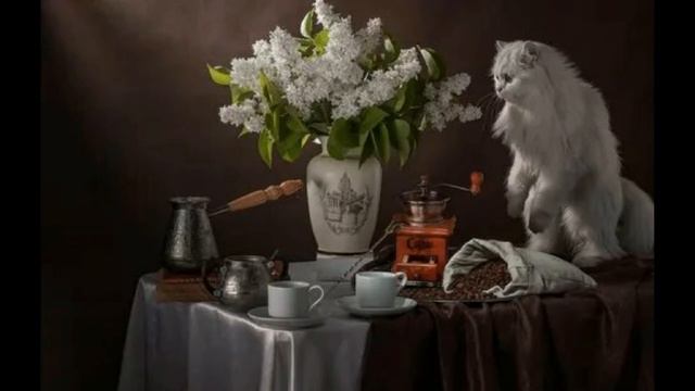 √ красивые картинки ►красивое фото ✿ спокойное музыка ☻ смотреть онлайн