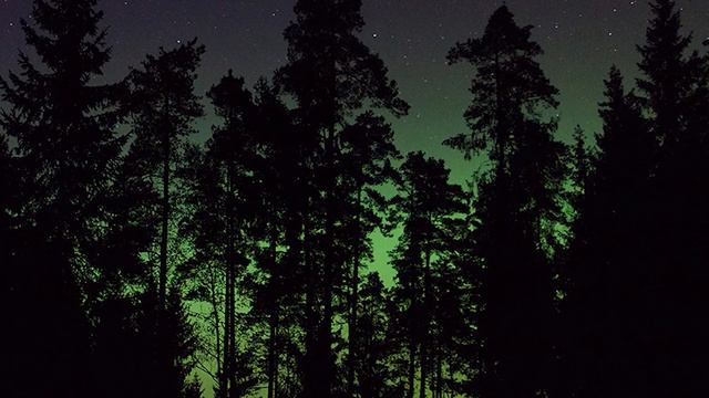 Вильгельм Варкентин. 1. Его дискурс. В чём подвох?