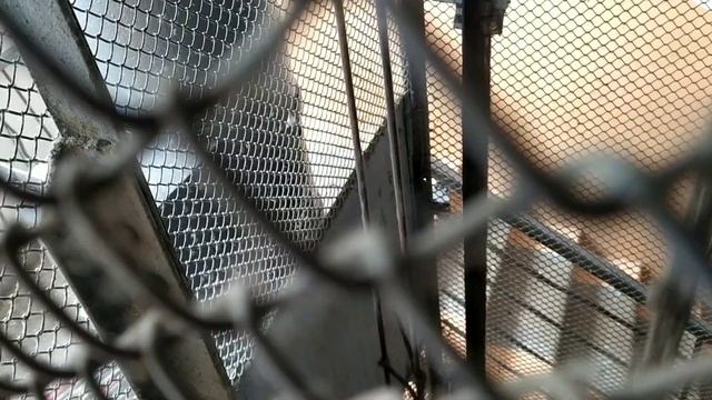 лифт МЛЗ 320 кг 0.71 м/с + динамик в плафоне в идеальном состоянии смотреть онлайн