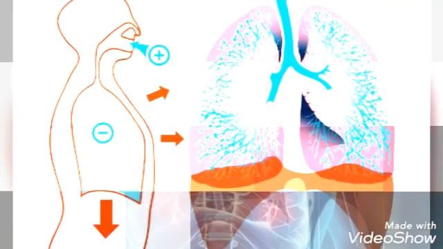 Простая дыхательная медитация смотреть онлайн