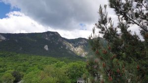 "Город". Песня Юрия Кукина