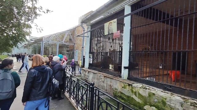Поход в Ленинградский зоопарк | Поставил камеру заднего вида на Transit смотреть онлайн