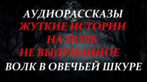 СТРАШНЫЕ РАССКАЗЫ НА НОЧЬ-ВОЛК В ОВЕЧЬЕЙ ШКУРЕ
