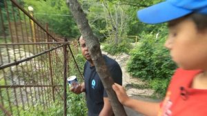 Адыгея. Куриная кухня ? Планета вкусов ? Моя Планета