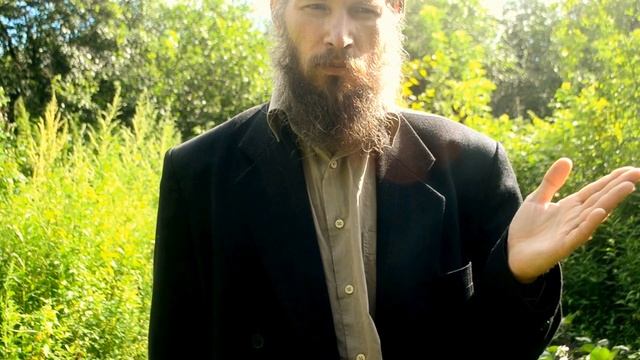 Vi.No.#1."Трендовый дом "Ра-Терем" - Солнце в дом, проверим! г.МОСКВА п. Терехово смотреть онлайн