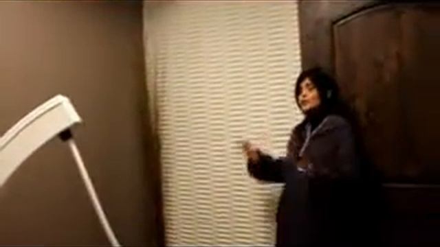 Zebra Wood Carved MDF Panels, Bamboo MDF Wall Panels by Global Trends смотреть онлайн