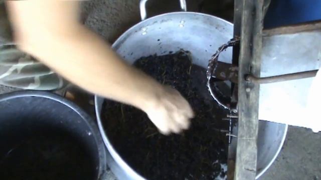 Истина в вине. Часть 2. Дробление винограда ньюансы. смотреть онлайн