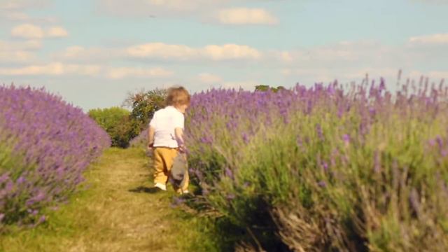 Mayfield Lavender Farm, UK, 2020 смотреть онлайн