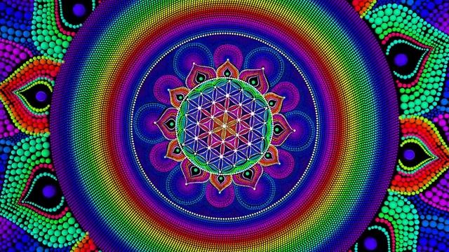Magic Mushroom Trip (Trippy Animation) смотреть онлайн