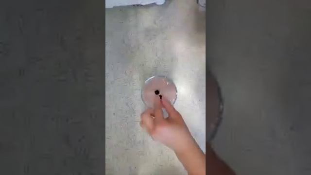 Угадаете из чего это сделано? Никто не догадается, что ЭТО из МАННОЙ КАШИ! Десерт "Нежная манность" смотреть онлайн