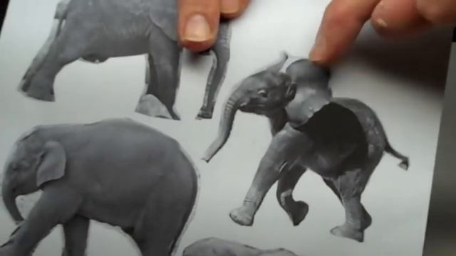 Learn Sculpting - Lesson 3, Part 2: Sculpt A Baby Elephant