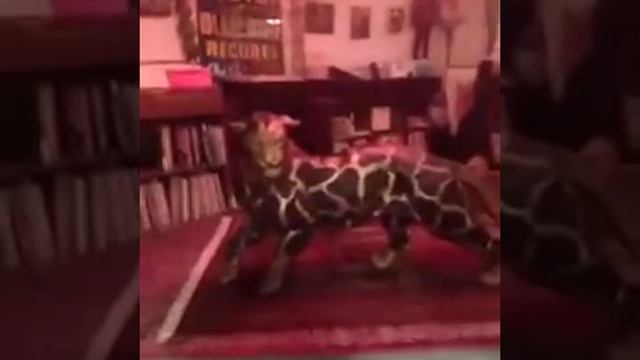 Best Shopping In Boston: Store 54