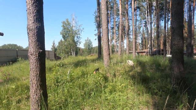 Кирполье (участок) смотреть онлайн