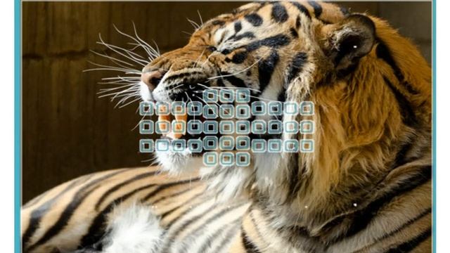 Best Nikon D7000 Review - best price for Nikon D7000 Kits and Body смотреть онлайн