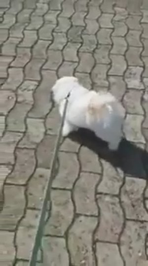 ЭФФЕКТ ОТ ЧИСТКИ ОНЛАЙН.  Видео от Евгении.  ВЕДЬМИНА ИЗБА