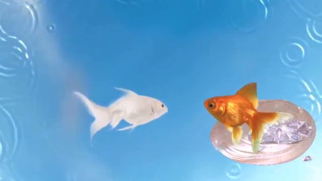 1 часть. Мама рыбка и дочка рыбка. смотреть онлайн