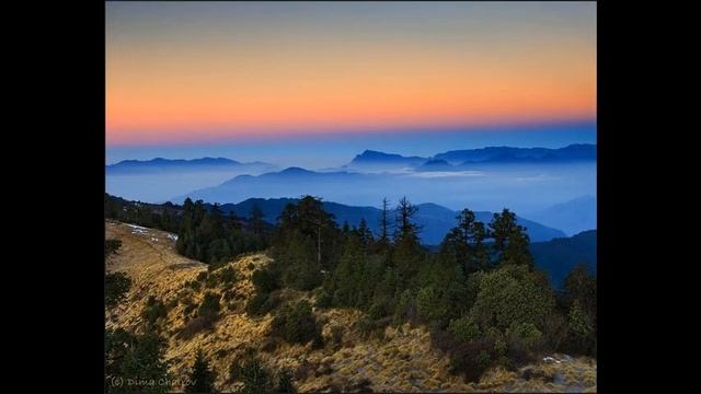 научиться фотографировать на Canon 650d