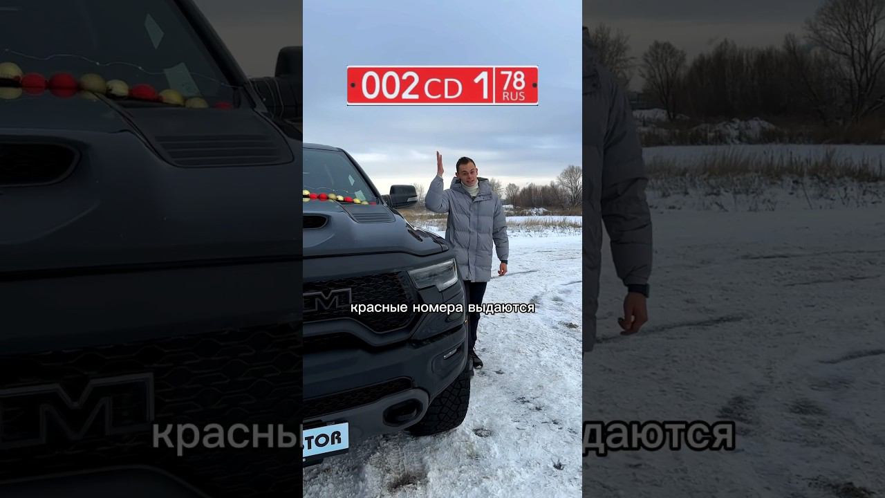 Что означает цвет номера? #avvtatestor смотреть онлайн