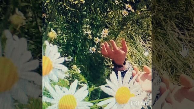 Лето.Дети.Цветы.Песня?