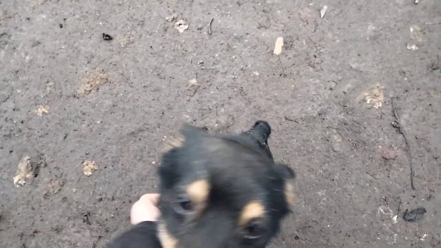 Всю ночь было не спокойно 1 января 2023 г. Украина сегодня смотреть онлайн