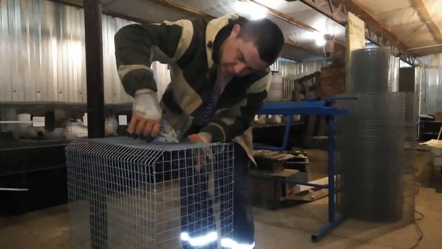 Калифорнийский кролик в 5 месяцев. Взвешивание. смотреть онлайн