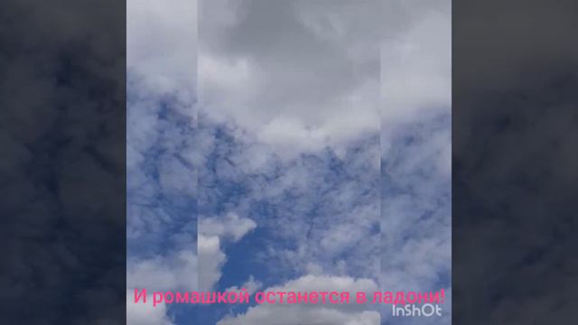 Облака - белогривые лошадки! Детская песня🐎 смотреть онлайн