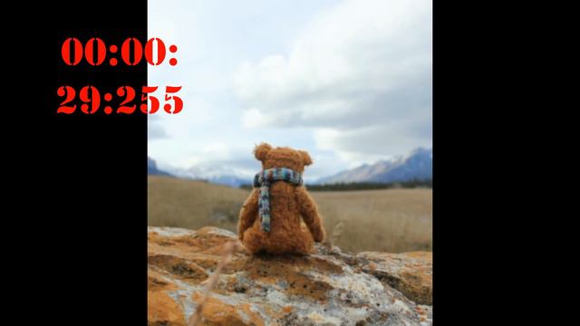 описание картинки на английском FCE, IELTS, TOEFL смотреть онлайн