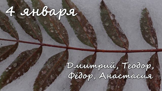 4 января – именины сегодня отмечают смотреть онлайн