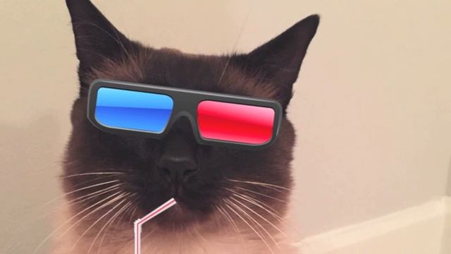 Как определить настроение кота ? ^.^ смотреть онлайн