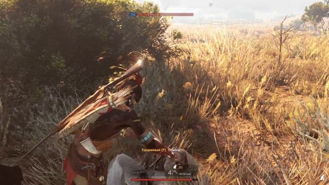 This Land Is My Land