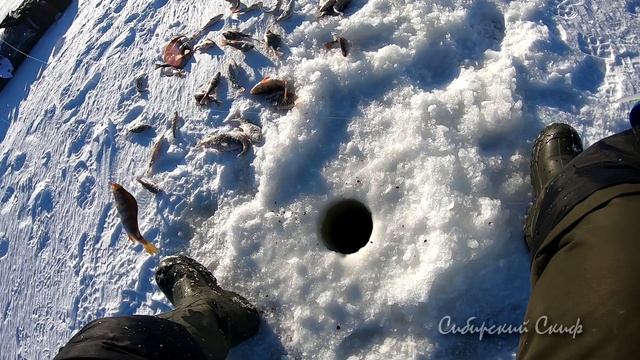 Рыбалка на окуня. Озеро Чаны смотреть онлайн