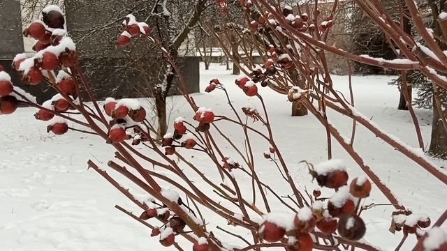 23 февраля. Прохоров день. ПОШЕЛЕСТИТЕ В КАРМАНЕ БУМАЖНЫМИ КУПЮРАМИ/Народные приметы смотреть онлайн