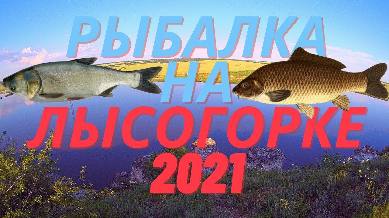 Рыбалка на Лысогорке 2021. Ловля толстолоба на технопланктон. Ловля сазана на макушатники. смотреть онлайн
