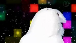 Что  Где  Когда  анонс