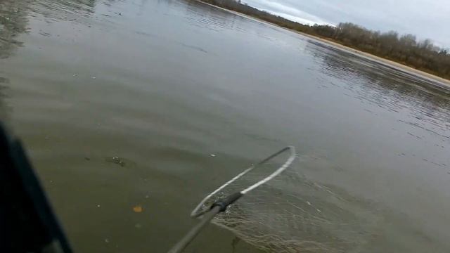 🎣РЫБАЛКА В ОКТЯБРЕ НА ЧУЛЫМЕ -ДЕНЬ ВТОРОЙ 2021ГОД🦈 смотреть онлайн