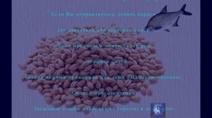 Секреты приготовления перловки для рыбалки