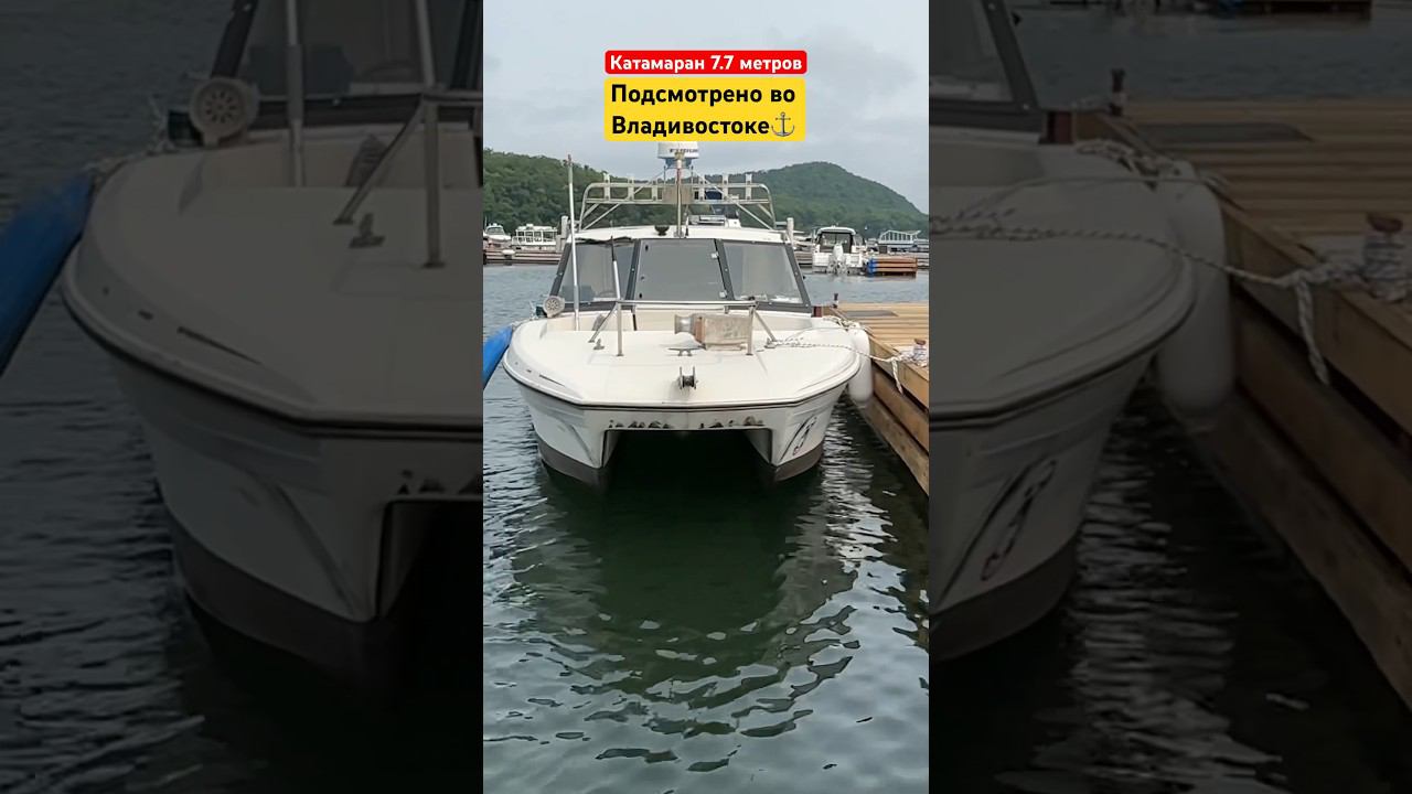 Идеальная лодка для волны. Катамаран под рыбалку 7.7 метров. #лодочник #boating #бурцев #лодки смотреть онлайн