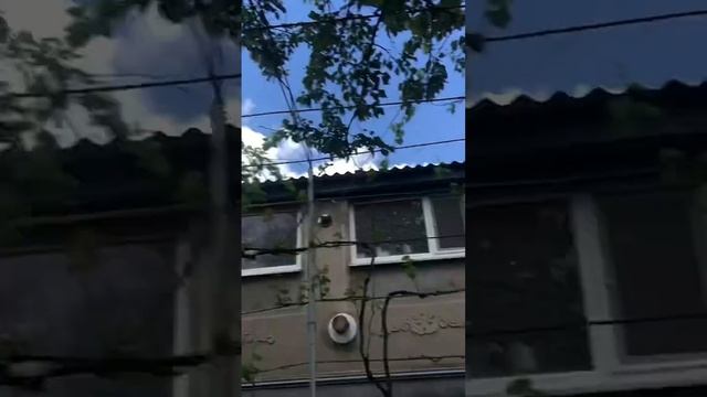 Приятного аппетита смотреть онлайн