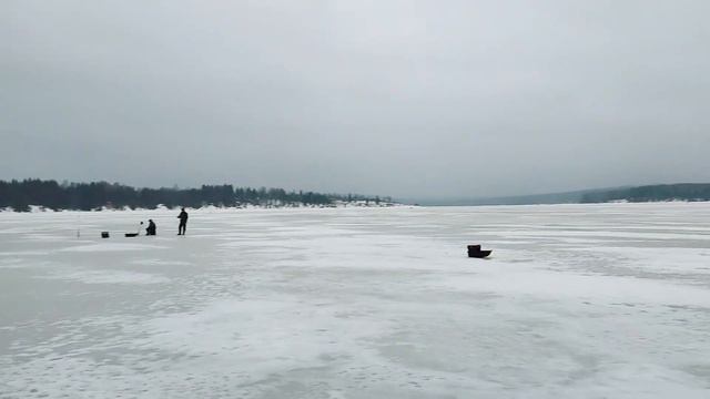 Шалашная. Чусовая. 24.12.23г. смотреть онлайн