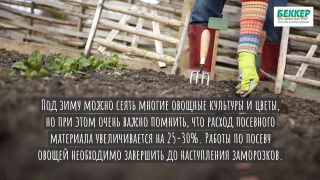 ТОП растений, которые нужно сажать осенью смотреть онлайн