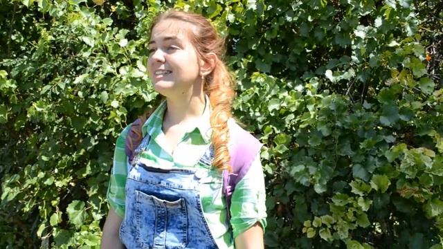 "Хочу в Артек" Анастасия Капцова (17лет), антенна Отряд активистов "РеАктив" (п. Монино) смотреть онлайн