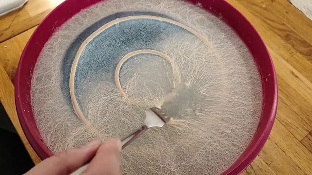 Хрустящие соленые огурцы на зиму. Храним без холодильника.