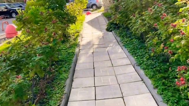 А цветочки осенние все цветут вот такая красота гуляем любуемся красотой всем доброго дня смотреть онлайн