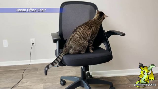 Hbada Office Task Desk Chair - Review 2022