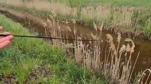 Ловим рыбу на ЭКРАНЫ-ТЕЛЕВИЗОРЫ. Начало сезона.