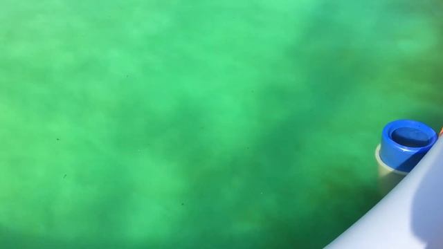 Зеленка в бассейн. Личный опыт. смотреть онлайн