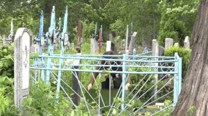 Народные приметы на Троицу в 2021 году